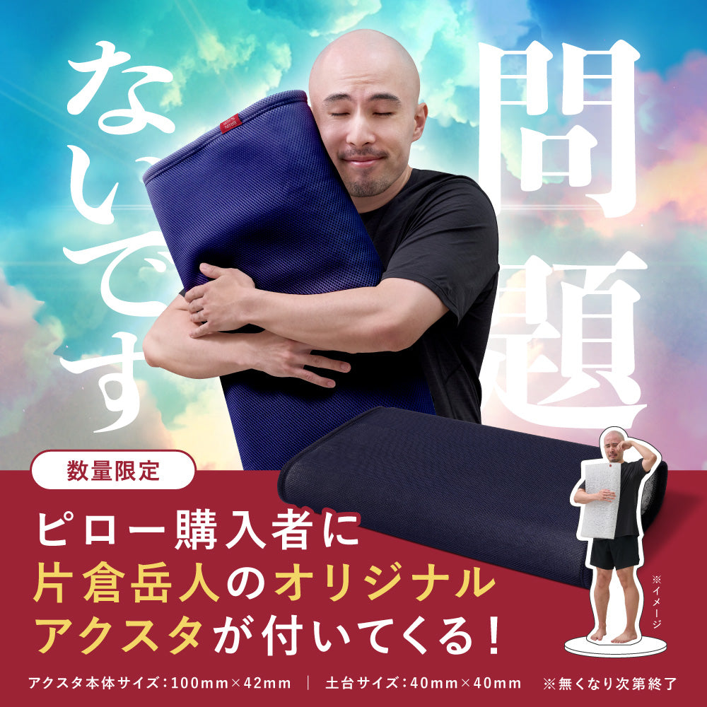 【片倉岳人コラボ(眠るキウイアクスタ付き)】ブレインスリープ ピロー