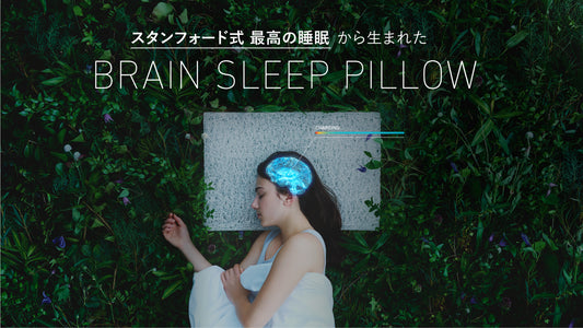 スタンフォード式最高の睡眠から生まれた「脳が眠る枕」 5月8日自社ECサイトにて発売開始