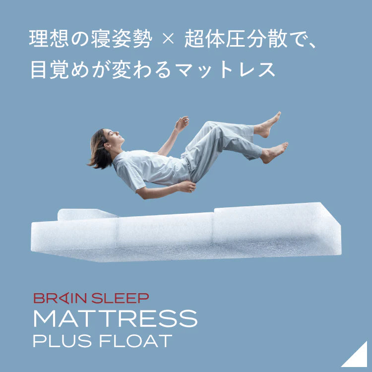 ブレインスリープピロー本日限定 ブレインスリープピロー本日限定