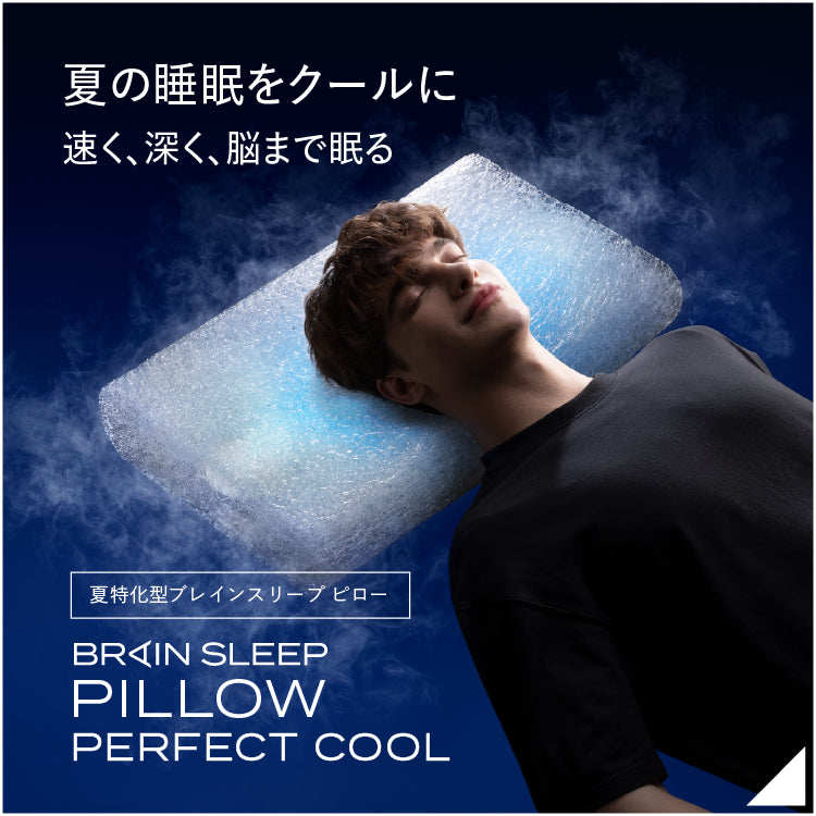 ブレインスリープピロー スタンダード 睡眠 BRAIN SLEEP 枕 LOW ブレインスリープピロー スタンダード 睡眠 BRAIN SLEEP 枕 LOW