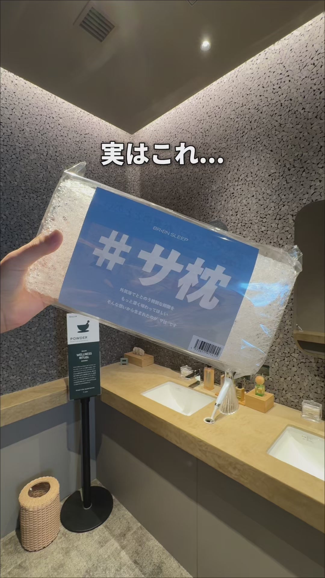 脳までととのうサ枕セット】ブレインスリープ ピロー + ブレイン