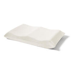 BRAIN SLEEP PILLOW SNOWLESS 