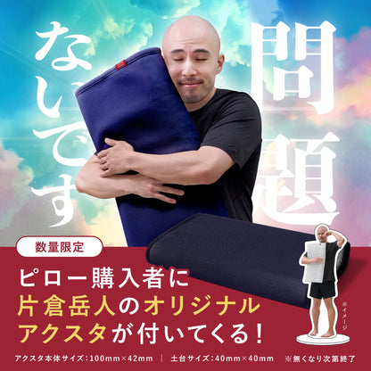 【片倉岳人コラボ(眠るキウイアクスタ付き)】ブレインスリープ ピロー