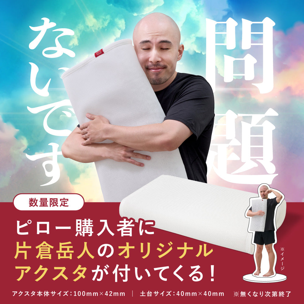 【片倉岳人コラボ(眠るキウイアクスタ付き)】ブレインスリープ ピロー