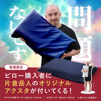【片倉岳人コラボ(眠るキウイアクスタ付き)】ブレインスリープ ピロー