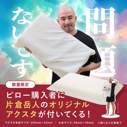【片倉岳人コラボ(眠るキウイアクスタ付き)】ブレインスリープ ピロー