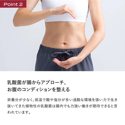 ブレインスリープ サプリメント GABA