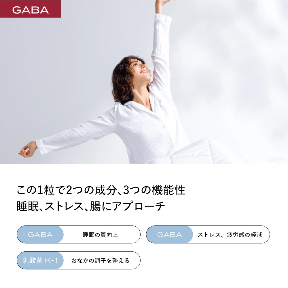 ブレインスリープ サプリメント GABA