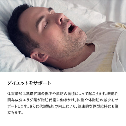 ブレインスリープ サプリメント GABA