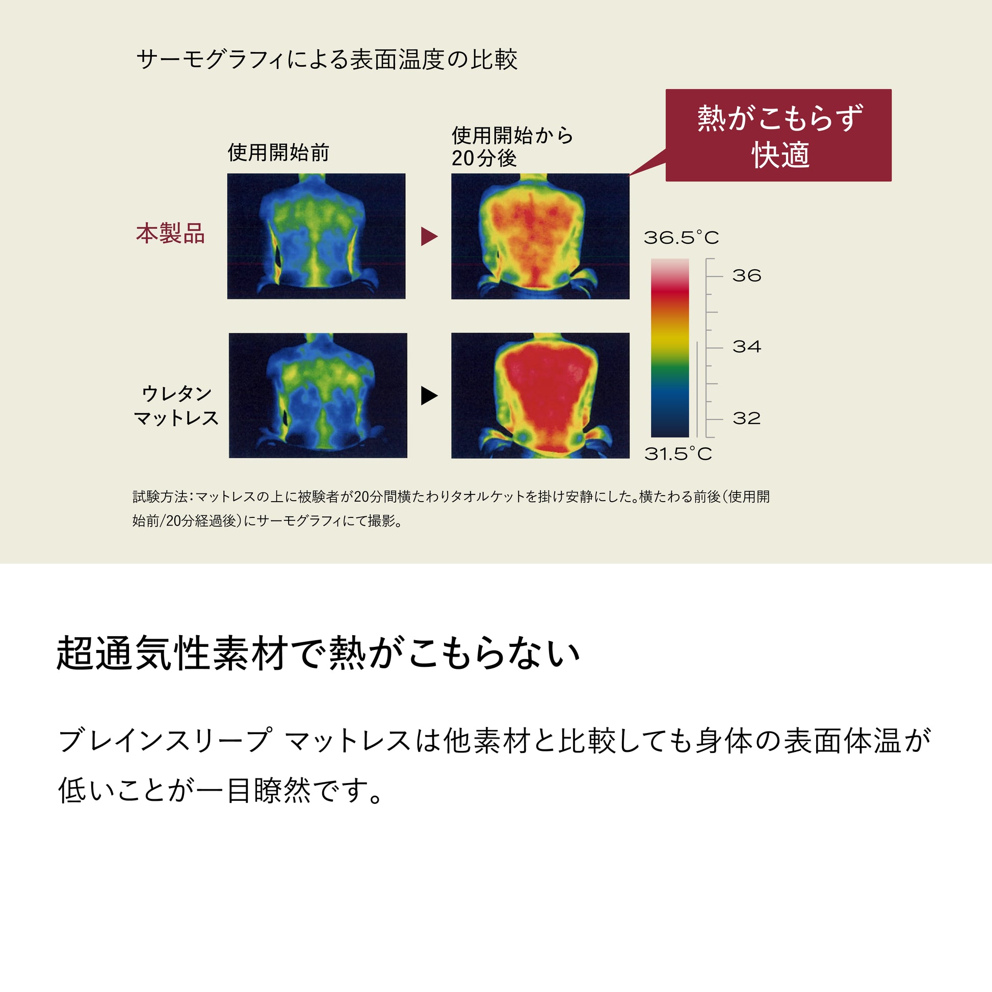 ブレインスリープ マットレス プレミアム フロート | BRAIN SLEEP ブレインスリープ マットレス プレミアム フロート | BRAIN SLEEP