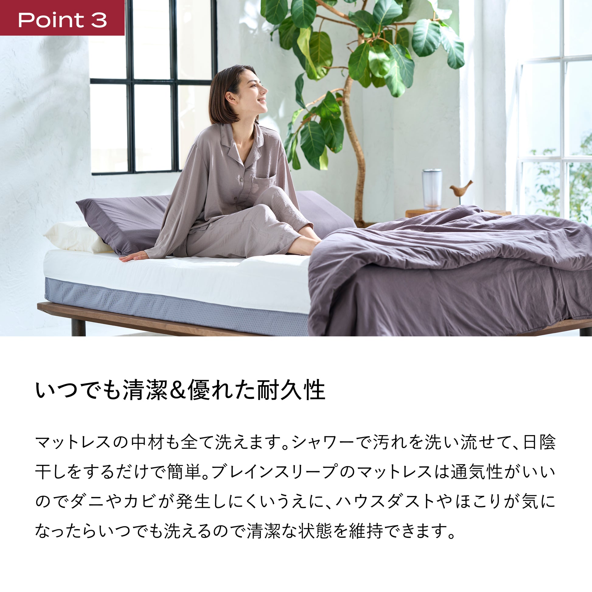 tmn_Premium_4.webp?v= tmn_Premium_4.webp?v=